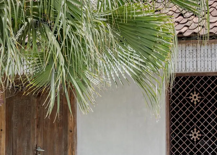 Palm Jari 1 By Alfred In Bali *